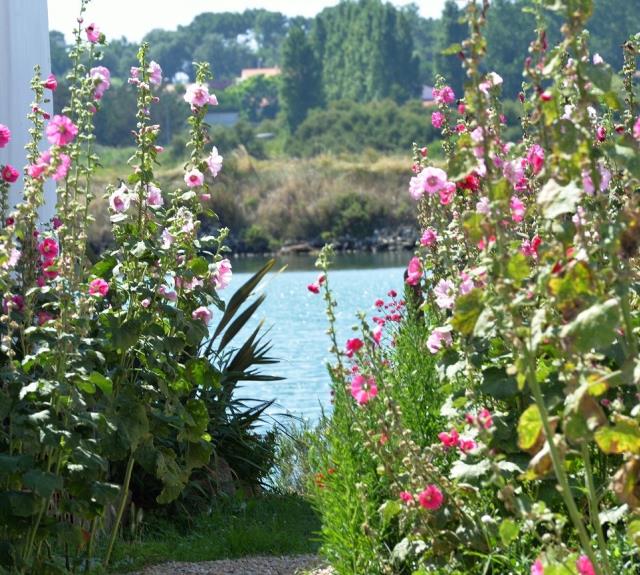 les%20sables%20d%20olonne%20pool%20fleurs%201