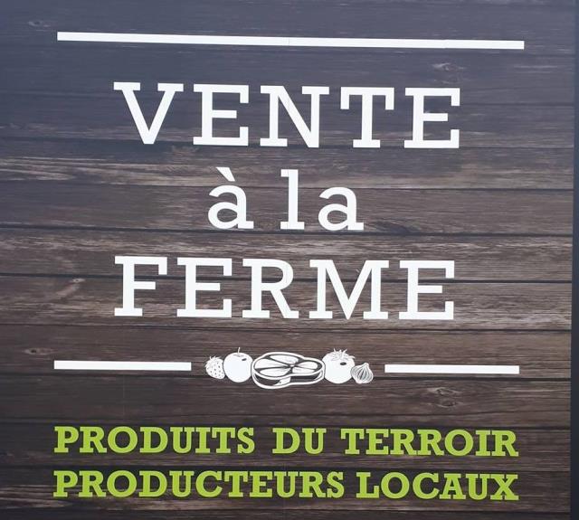 logo dolmaine