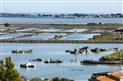noirmoutier-3530-2108