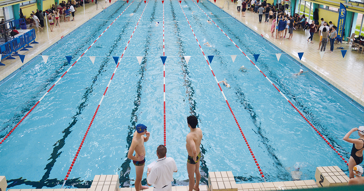 piscine Dauphins