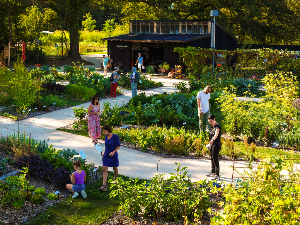 LE POTAGER EXTRAORDINAIRE | Vendée Tourisme