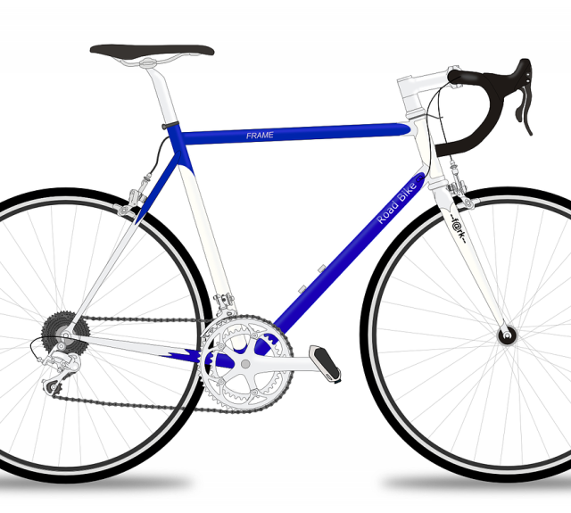 La Grenouille bleue de Damvix location de vélo