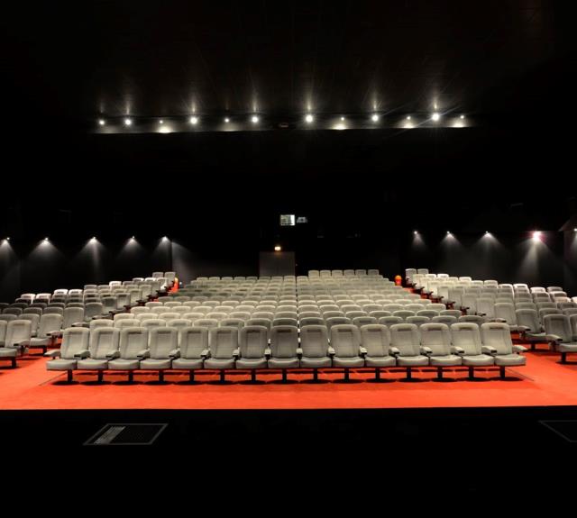 Multiplexe Cinéma le Grand Palace - sallede-cinema-legrandpalace