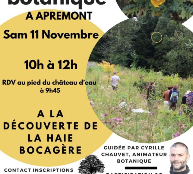 sortie botanique haie bocagère apremont 11 nov ASTUR PP