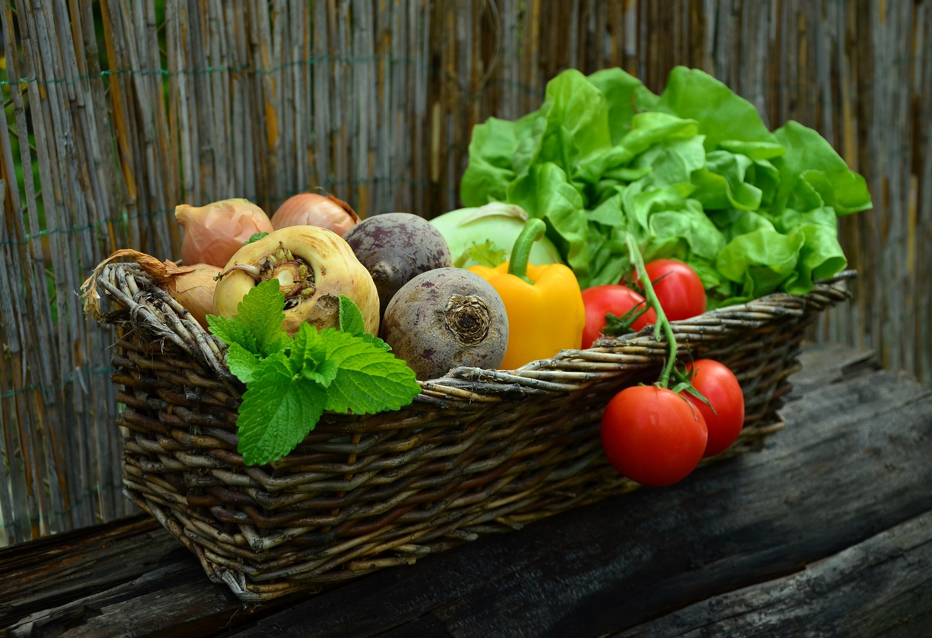 Marché des producteurs locaux et artisans