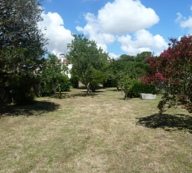 vers le jardin (2)