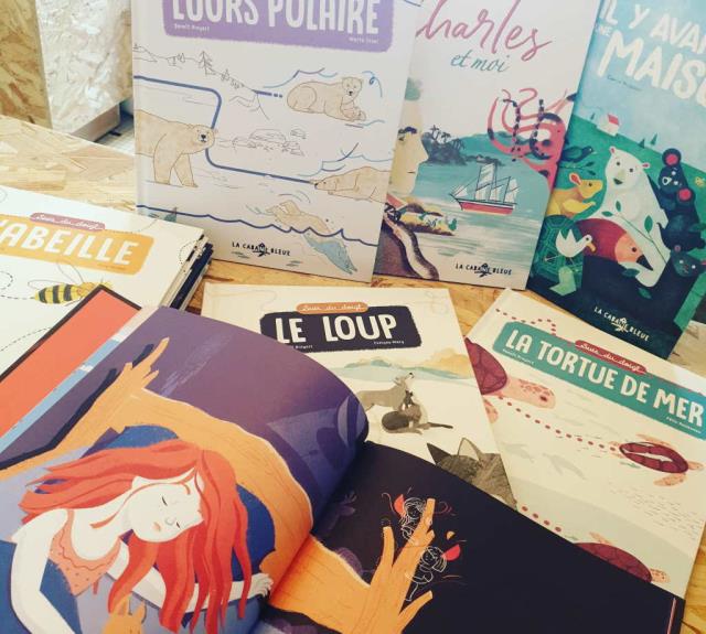 vrac-en-sac-livres